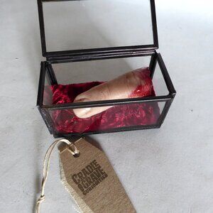 NEW LIFE-SIZE SEVERED SILICONE FINGER IN GLASS BOX ODDITY HORROR PROP